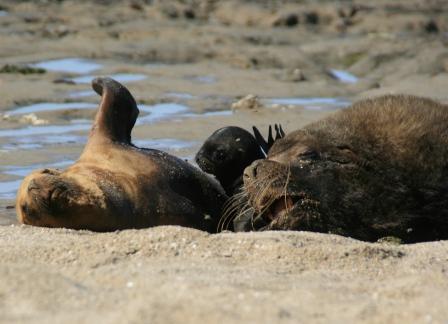 ...damit er gro und stark wird!.